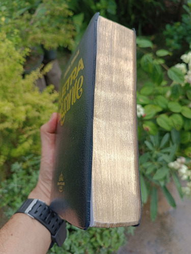 Biblia Letras Gigantes Reina Valera 1960