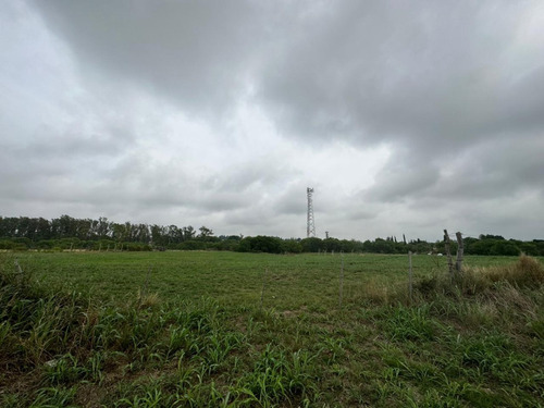 Imagen 1 de 4 de Lote En Venta Ejido Libertador San Martin, Entre Ríos