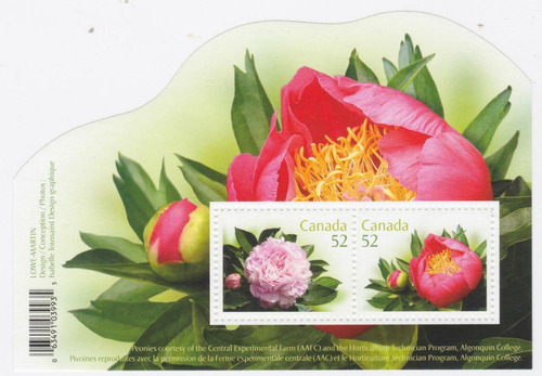 Canadá 2008 : Flores , Flora , Peonies 