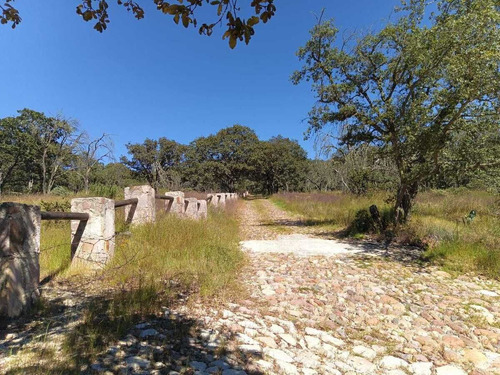 Terreno En Venta En Sierra De Lobos