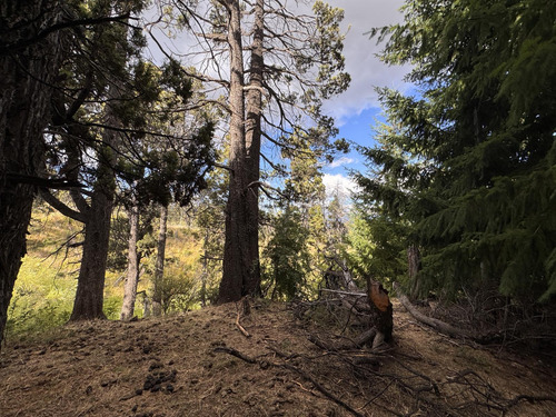 Terreno En Trevelin