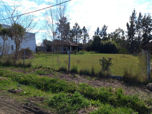 Imagen 12 de 14 de 2 Lotes En 14 Bis E/664 Y 665