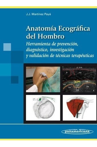 Anatomía Ecográfica Del Hombro Martínez Payá