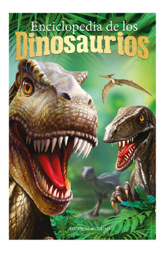 Libro Enciclopedia De Los Dinosaurios 