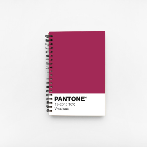 Cuaderno A5 - Colores Pantone Personalizados