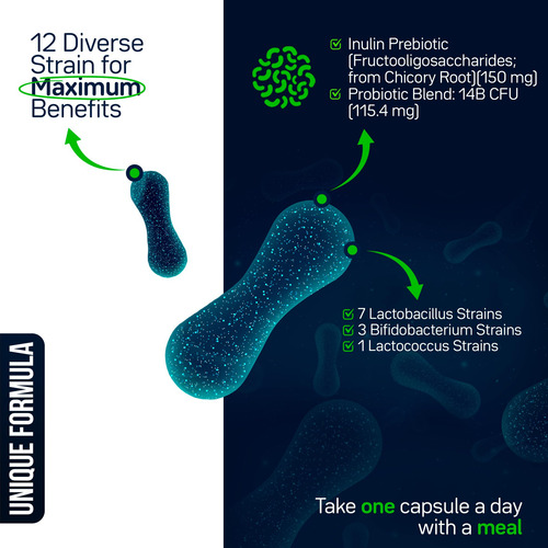 Fresh Flora Probióticos Y Prebióticos 15 Mil Millones Ufc