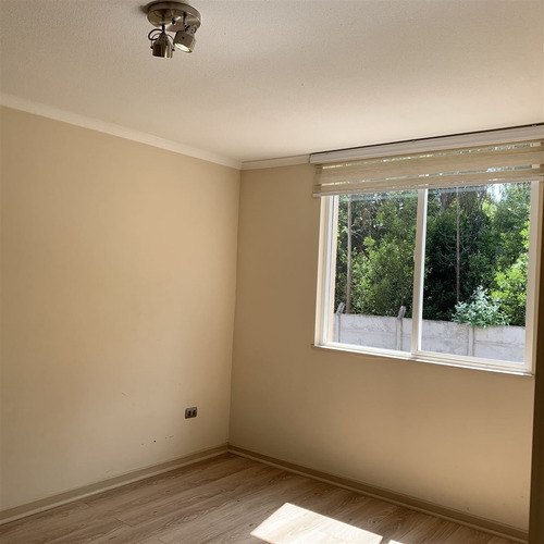 Arriendo Departamento De 1 Dorm Y Estacionam. En Concepción.