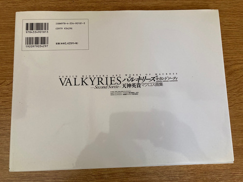 Tenjin Hidetaka Obras De Arte De Macross Valkyries(segundo)