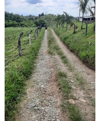 Venta Finca Ganadera Filandia Via Quimbaya - 41 Cuadras