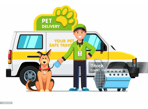 Servicio De Mini Flete