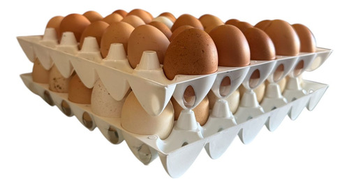 Porta Huevos Rovi Maple Plástico - 6 Unidades 30h Blanco