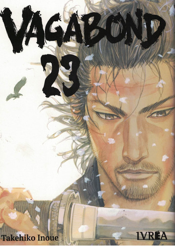 Vagabond Vol 23