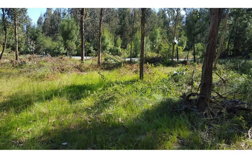 Grace Kelm Vende Parcela 5000 M2, Rol Inscripto, Acceso Dir