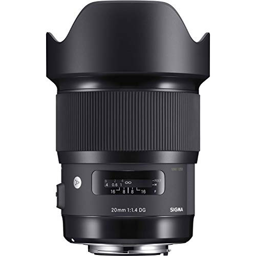 Sigma Hsm Lente Para Sony E 0787 En F14 Dg Hsm