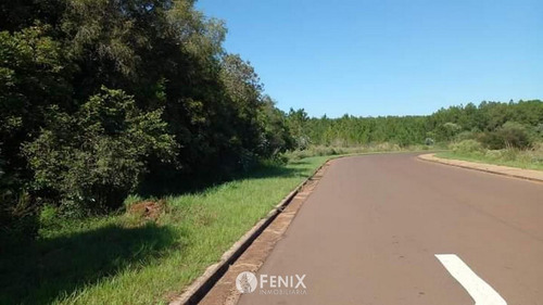 Tf731 - Terreno En Venta Z/ Candelaria