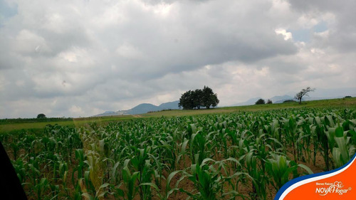 Terreno En Venta Casi Plano Cercano A Amecameca