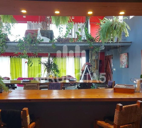 Imagen 7 de 28 de Vende Chacra De 10 Hectáreas Con Una Casa De 500 M2 - Penitente - Minas