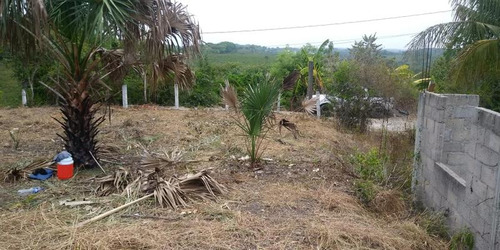 Venta Terreno 200 M² Col. Samperio Tuxpan Veracruz.