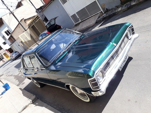 Opala Rabo De Peixe