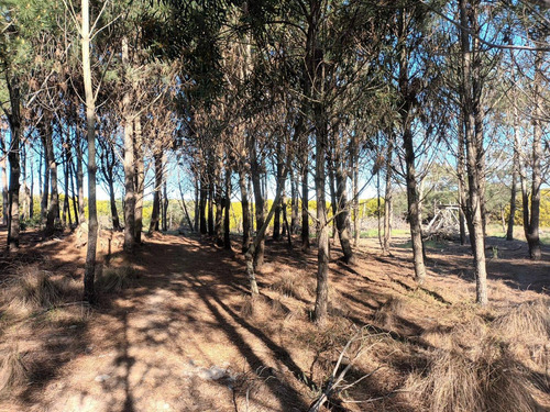 Terreno En Venta En Costa Esmeralda Barrio Marítimo Ii. Frente A La Playa