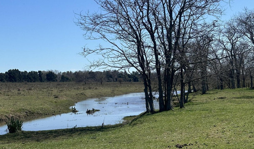 Venta - Lote Interno - Estancia Carabassa | Vco Propiedades