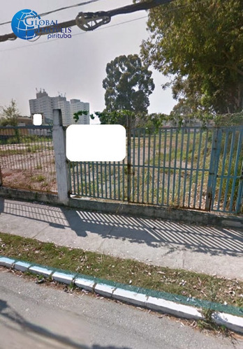 Imagem 2 de 8 de Venda Terreno São Paulo Vila Jaraguá - T39