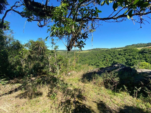 Imagem 4 de 15 de Chácara Para Venda Em Novo Hamburgo, Lomba Grande, 1 Dormitório, 1 Banheiro - 10058_2-1292120