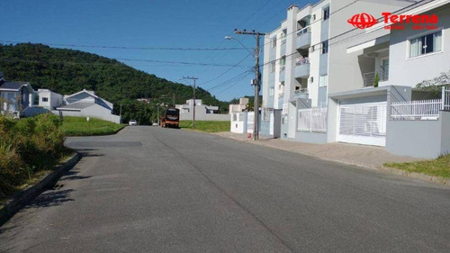 Imagem 4 de 5 de Terreno À Venda, 422 M² - Velha - Blumenau/sc - Te0159