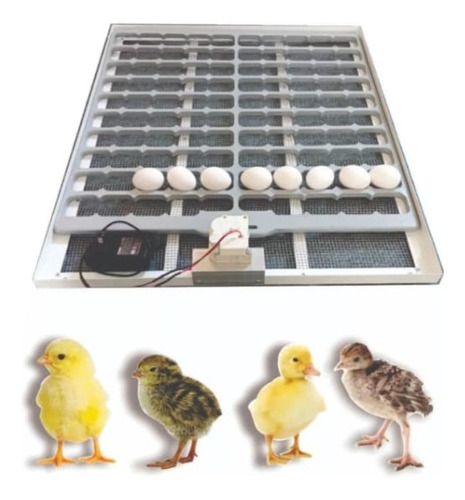 Charola De Sistema De Volteo Para 100 Huevos Para Incubadora