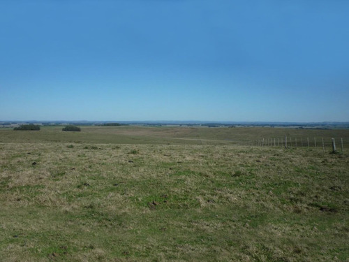 Campo En Venta En Rocha Ref. 5130 (ref: Cbr-938)