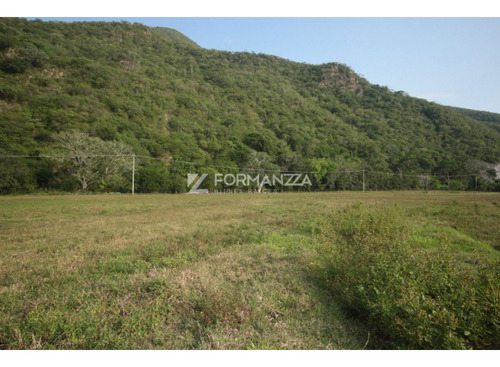 Terreno En Venta En Carretera Jala Coquimatlán