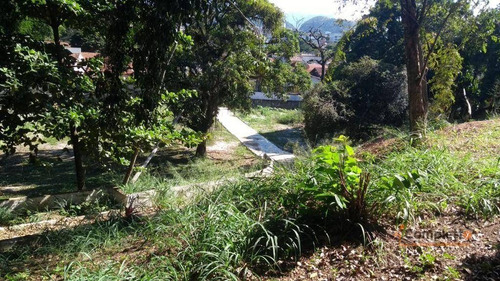 Imagem 6 de 14 de Terreno À Venda, 6000 M² Por R$ 4.000.000 - Taquara. - Te0025