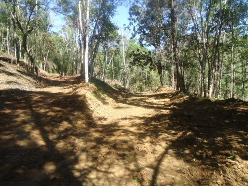 Imagem 9 de 10 de Lindo Terreno Com Lago Ref 874