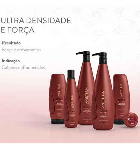 Kit Shampoo Máscara Aneethun Force System E Escova Beauty