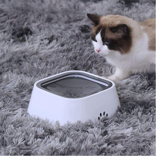 Bebedouro Pet Sem Tomada Anti-respingo Cães E Gatos