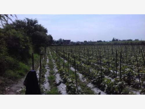 Imagen 3 de 10 de Venta Terreno Cuautlixco