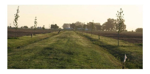 Imagen 7 de 12 de Terreno - 14.387.50 M2 - San Andres De Giles