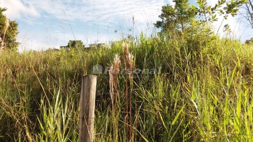 Imagem 1 de 1 de Lote / Terreno Em Residencial Estoril - Taubaté - 521