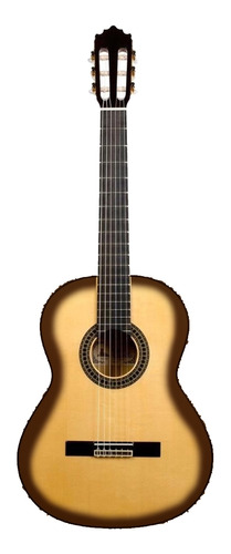Guitarra Electroacustica C/ Mic Linea Basic Rdl39tv Prm