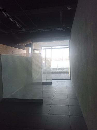 Excelente Oficina En Renta 267m2 En Zona Del Pedregal