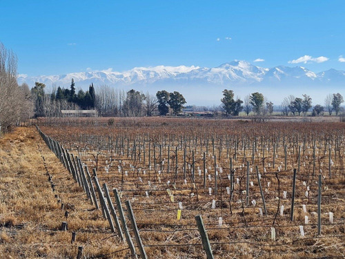Imagen 2 de 20 de 41 Ha Ruta 15 (zona Bodegas)