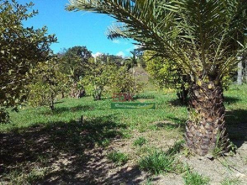 Imagem 4 de 19 de Maravilhosa Chácara Á Venda No Bairro Jardim Colônia. - Ch0780