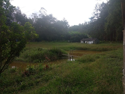 Imagem 23 de 26 de Chácara Com 2 Dormitórios À Venda, 12000 M² Por R$ 495.000,00 - Quatinga - Mogi Das Cruzes/sp - Ch0030