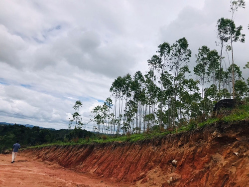 Imagem 4 de 9 de Terrenos/lotes Em Santa Isabel Com Otima Topografia.