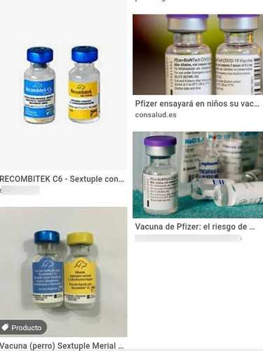 Imagen 2 de 6 de Collie