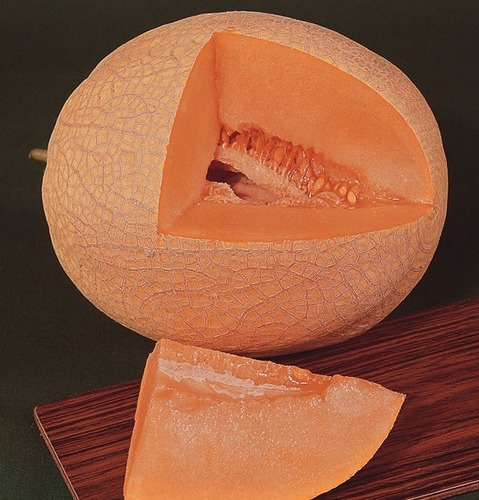 Imagem 2 de 2 de Melão Cantaloupe