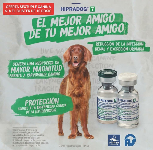 Imagen 2 de 3 de Sextuple Canina