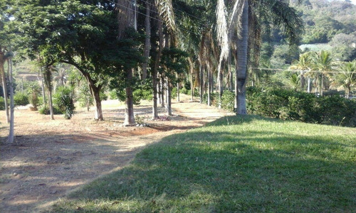 Imagem 8 de 9 de Chácara 28100m2, Rica Em Água Com Tanque Com Peixes, Casa Sede, Casa De Caseiro, 75% Plana, 80 Pés De Jabuticaba, 300 Pés De Limão, Piscina, Poço - Ch00242 - 70782605