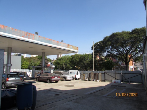 Terreno Para Alugar Na Vila Guilhermina - Te00002 - 68324938