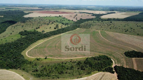Imagem 6 de 20 de Fazenda À Venda, 4400000 M² Por R$ 22.000.000,00 - Zona Rural - Prata/mg - Fa0109